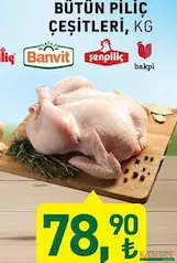 BÜTÜN PİLİÇ ÇEŞİTLERİ KG